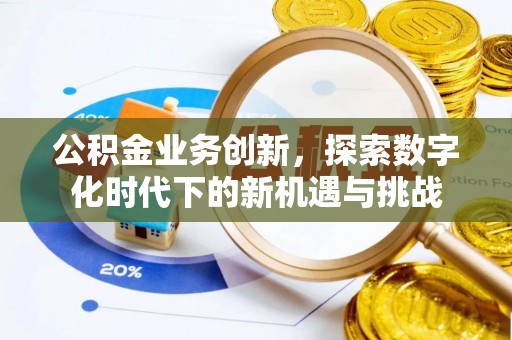 天峨公积金业务创新，探索数字化时代下的新机遇与挑战