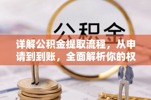 天峨详解公积金提取流程，从申请到到账，全面解析你的权益与操作步骤