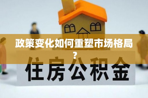 天峨政策变化如何重塑市场格局？