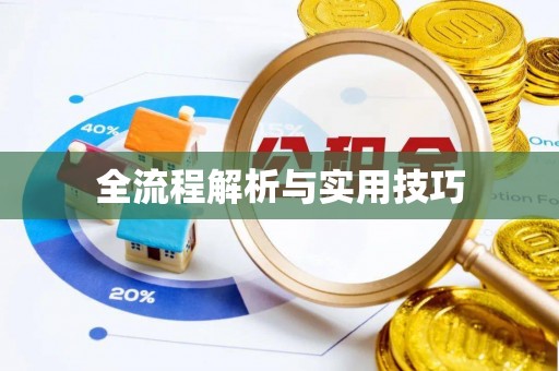 天峨全流程解析与实用技巧