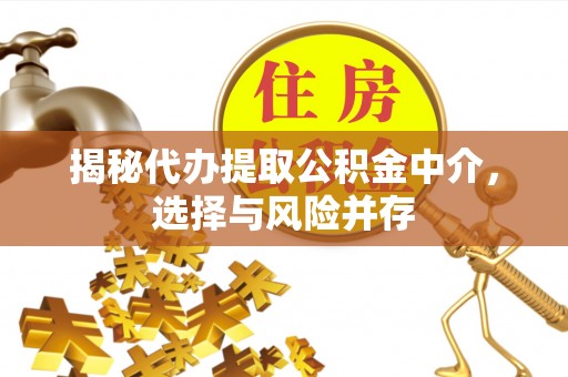 天峨揭秘代办提取公积金中介，选择与风险并存