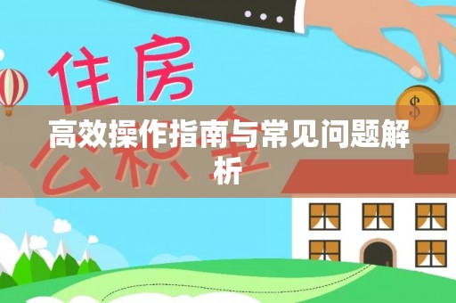 天峨高效操作指南与常见问题解析