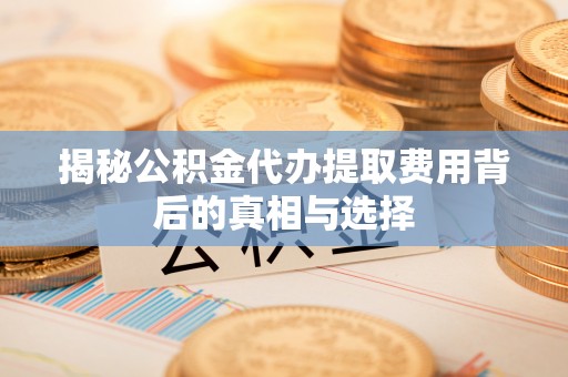 天峨揭秘公积金代办提取费用背后的真相与选择