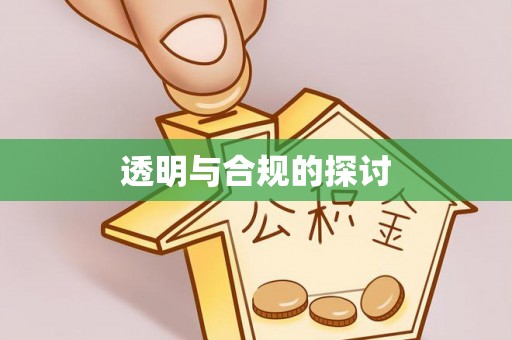 天峨透明与合规的探讨