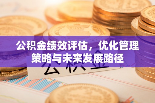 天峨公积金绩效评估，优化管理策略与未来发展路径