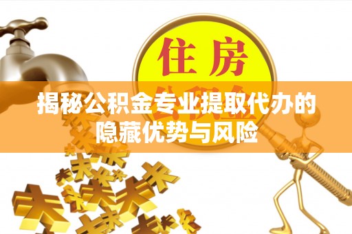 天峨揭秘公积金专业提取代办的隐藏优势与风险