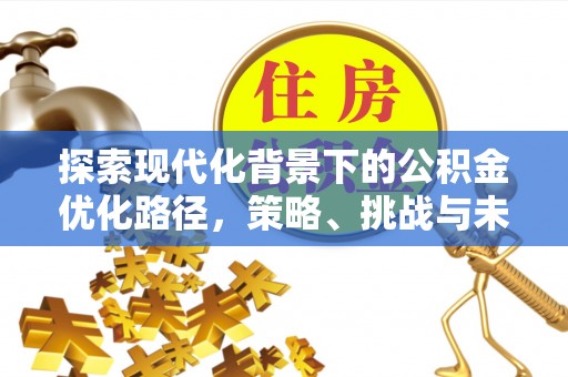 天峨探索现代化背景下的公积金优化路径，策略、挑战与未来展望