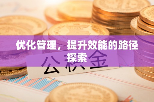 天峨优化管理，提升效能的路径探索