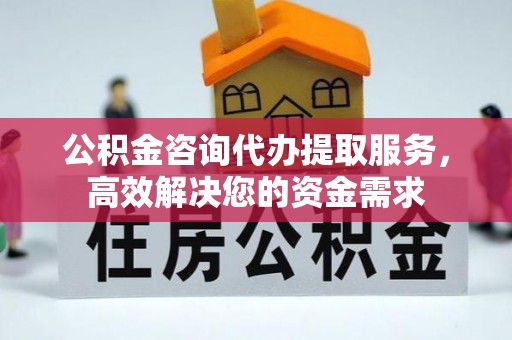 天峨公积金咨询代办提取服务，高效解决您的资金需求