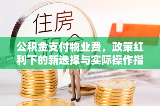 天峨公积金支付物业费，政策红利下的新选择与实际操作指南