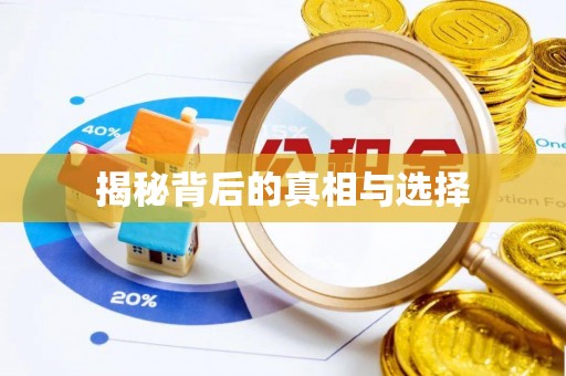天峨揭秘背后的真相与选择
