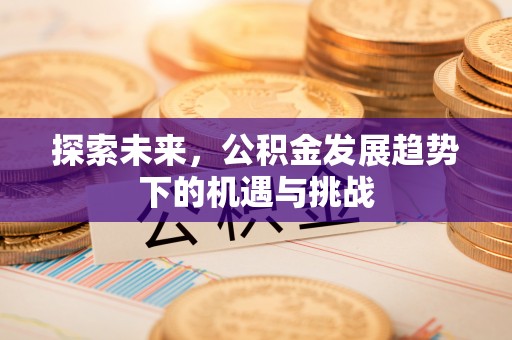 天峨探索未来，公积金发展趋势下的机遇与挑战