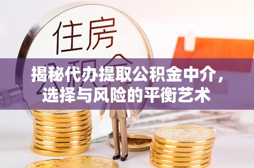 天峨揭秘代办提取公积金中介，选择与风险的平衡艺术