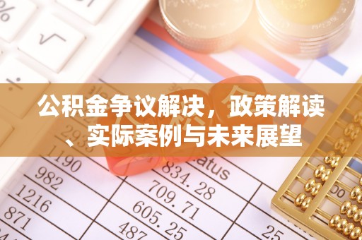 天峨公积金争议解决，政策解读、实际案例与未来展望