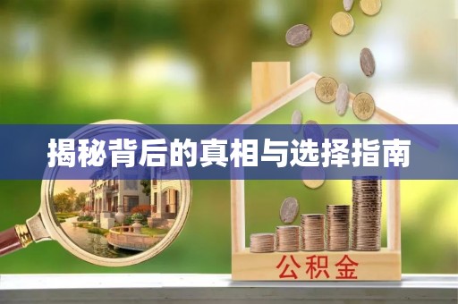 天峨揭秘背后的真相与选择指南