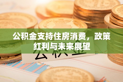 天峨公积金支持住房消费，政策红利与未来展望