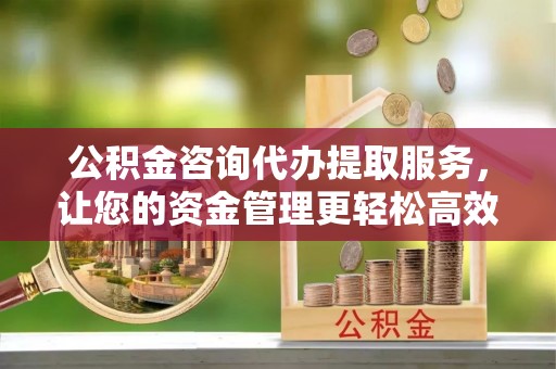 天峨公积金咨询代办提取服务，让您的资金管理更轻松高效