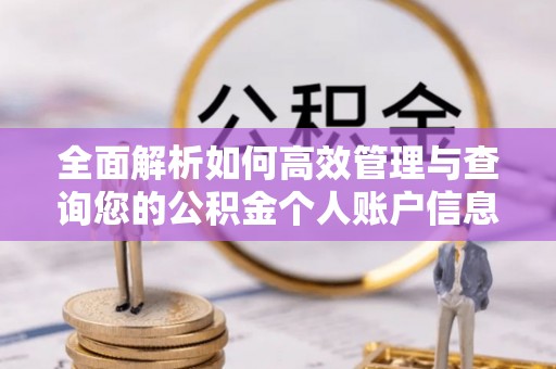 天峨全面解析如何高效管理与查询您的公积金个人账户信息