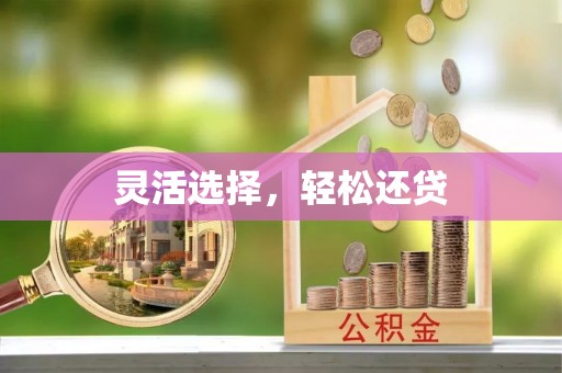 天峨灵活选择，轻松还贷