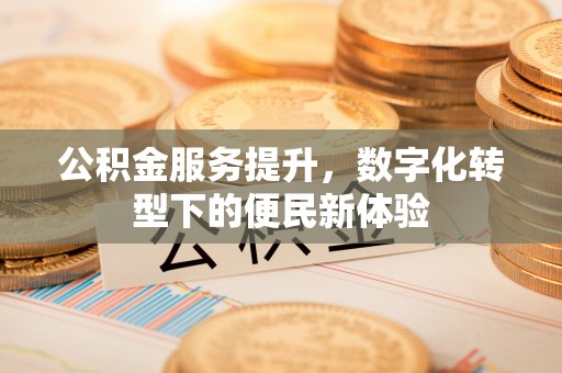 天峨公积金服务提升，数字化转型下的便民新体验