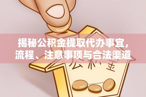 天峨揭秘公积金提取代办事宜，流程、注意事项与合法渠道
