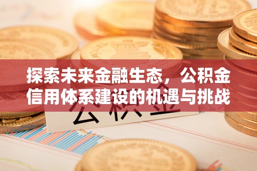天峨探索未来金融生态，公积金信用体系建设的机遇与挑战