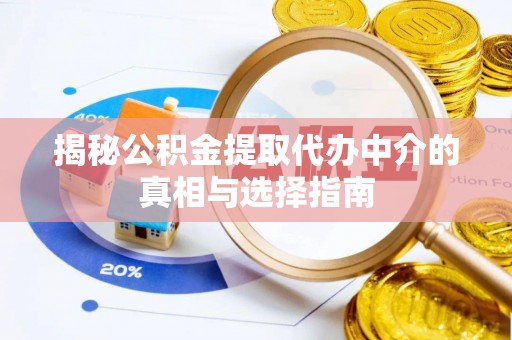 天峨揭秘公积金提取代办中介的真相与选择指南