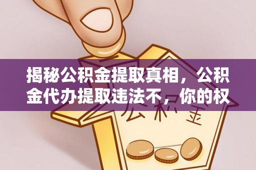 天峨揭秘公积金提取真相，公积金代办提取违法不，你的权益如何保障？