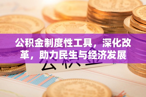 天峨公积金制度性工具，深化改革，助力民生与经济发展