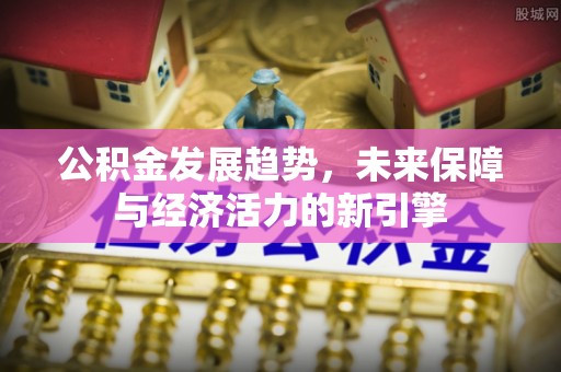 天峨公积金发展趋势，未来保障与经济活力的新引擎