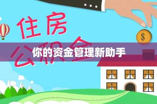 天峨你的资金管理新助手
