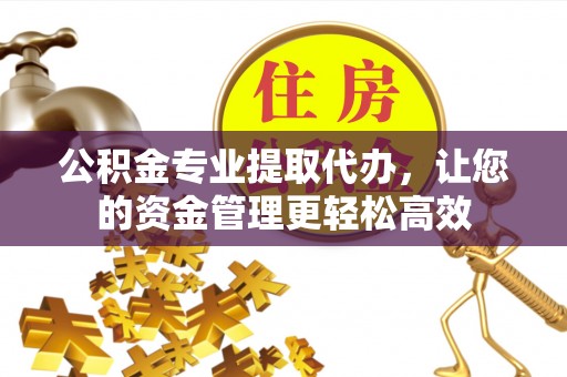 天峨公积金专业提取代办，让您的资金管理更轻松高效
