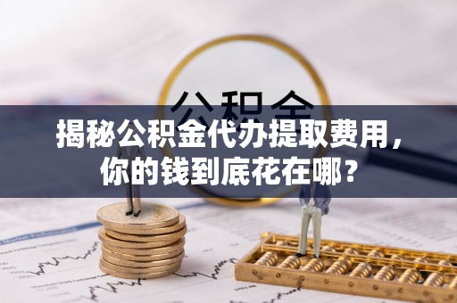 天峨揭秘公积金代办提取费用，你的钱到底花在哪？