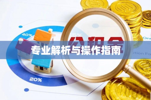 天峨专业解析与操作指南
