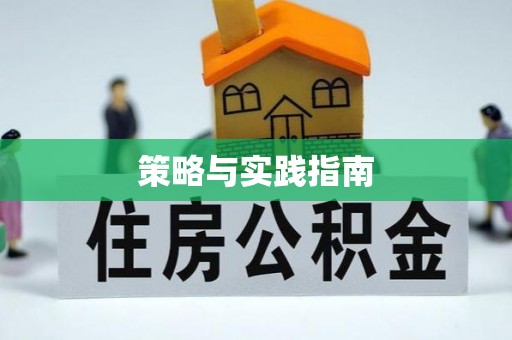 天峨策略与实践指南