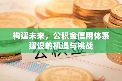天峨构建未来，公积金信用体系建设的机遇与挑战