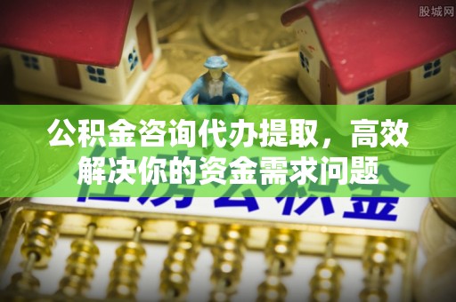 天峨公积金咨询代办提取，高效解决你的资金需求问题