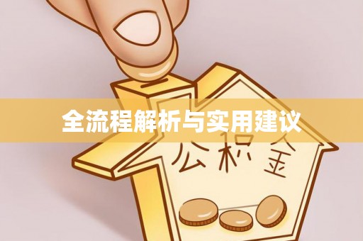 天峨全流程解析与实用建议
