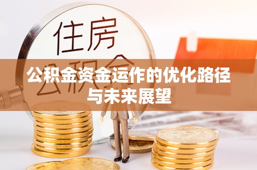 天峨公积金资金运作的优化路径与未来展望
