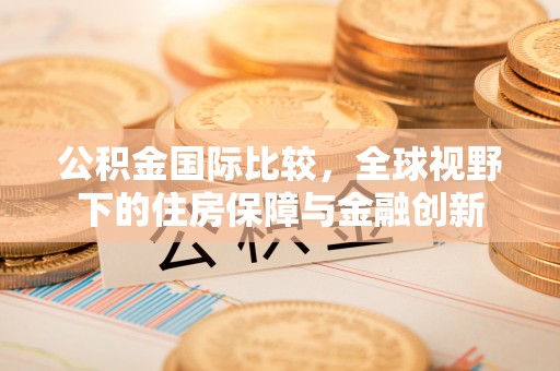 天峨公积金国际比较，全球视野下的住房保障与金融创新