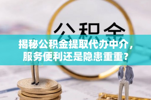 天峨揭秘公积金提取代办中介，服务便利还是隐患重重？