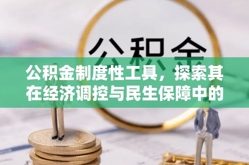天峨公积金制度性工具，探索其在经济调控与民生保障中的重要作用