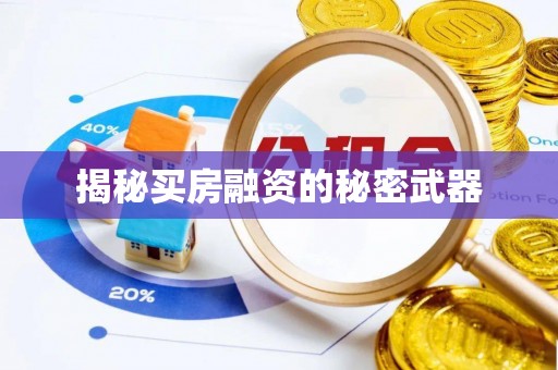 天峨揭秘买房融资的秘密武器