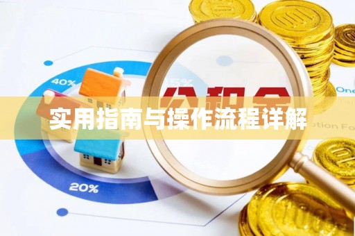 天峨实用指南与操作流程详解