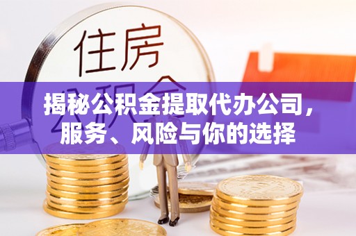 天峨揭秘公积金提取代办公司，服务、风险与你的选择