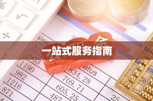 天峨一站式服务指南