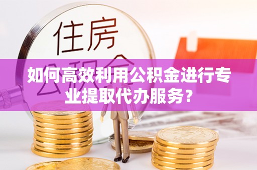 天峨如何高效利用公积金进行专业提取代办服务？