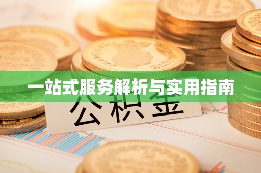 天峨一站式服务解析与实用指南
