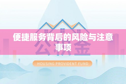 天峨便捷服务背后的风险与注意事项