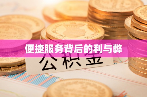 天峨便捷服务背后的利与弊